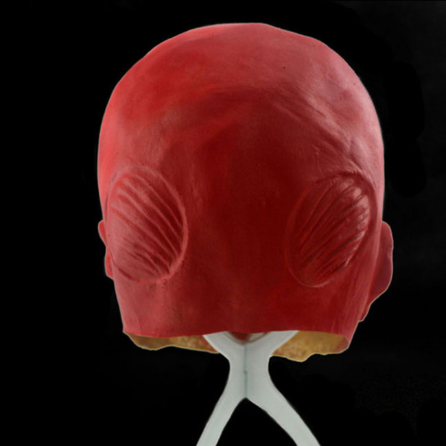 Halloween Attack On Titan Cosplay Mask / Buy Shingeki no Kyojin Latex Cosplay Mask