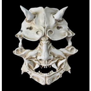 Japanese Ghost Samurai Cosplay Mask