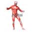 Full Body Attack on Titan Spandex Lycra Zentai