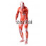 Full Body Attack on Titan Spandex Lycra Zentai