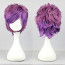 Fashion Zipper Purple 30 cm Punk Lolita Wig