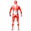 Shingeki no Kyojin Attack on Titan Lycra Cosplay Zentai Suit 