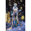 Game Honkai: Star Rail Ten Stonehearts Aventurine Cosplay Outfit