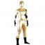 Golden and Black Mixed Color Shiny Metallic Zentai