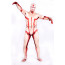 Attack on Titan Reiner Braun Full Body Lycra Zentai Suit