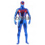 Spiderman Full Boday Shiny Metallic Cosplay Zentai Suit 