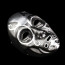 Collector's Edition Harry Potter Death Eater Horror Mask