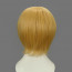 Hetalia Switzerland Cosplay Wig