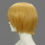 Hetalia Switzerland Cosplay Wig