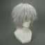 Hunter×Hunter-Killua Cosplay Wig