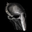 New Predator Falconer Predator Mask