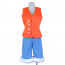 One Piece Monkey D. Luffy Cosplay Costume 2