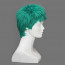 One Piece Roronoa Zoro Cosplay Wig