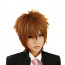 Reborn Tsunayoshi Sawada Cosplay Wig