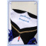 Vsinger Luo Tianyi White Tiger Dress Cosplay Costume