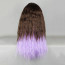 Zipper Deep Brown and Purple Mixed Color 70cm Punk Lolita Wig