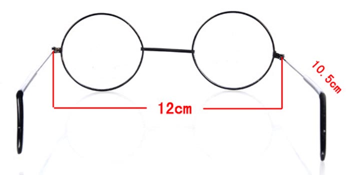 Harry Potter Glasses